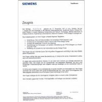 Michael Kogan Siemens Health Care  Recommendation letter, Zeugnis
